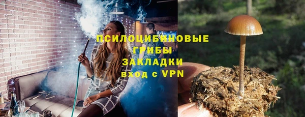 apvp Арсеньев