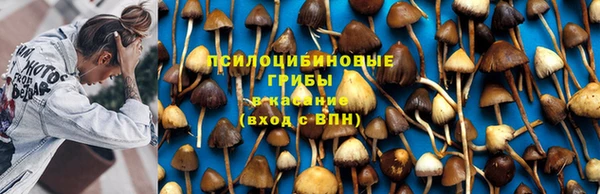 MESCALINE Магадан