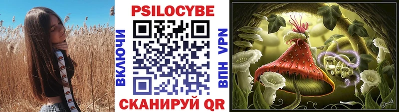 Псилоцибиновые грибы Psilocybine cubensis  что такое   Удачный 